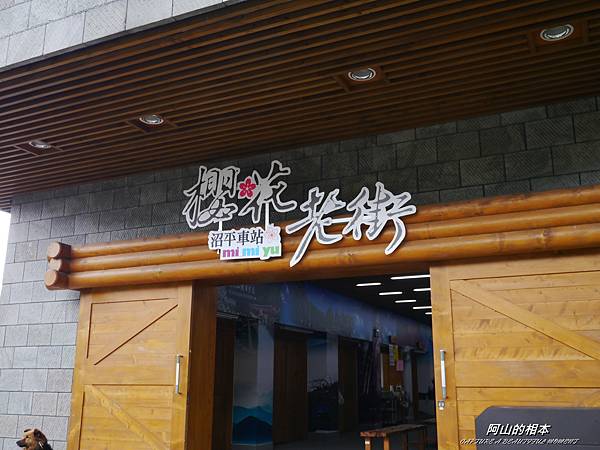 1051024 嘉義阿里山(PIXNET)166.JPG 1051024 嘉義阿里山(PIXNET)166.JPG