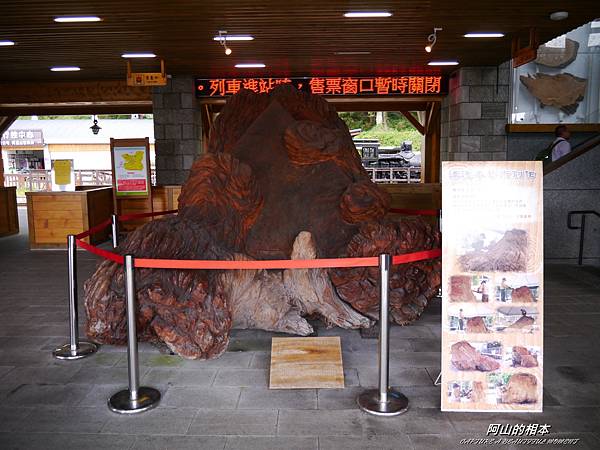 1051024 嘉義阿里山(PIXNET)167.JPG 1051024 嘉義阿里山(PIXNET)167.JPG