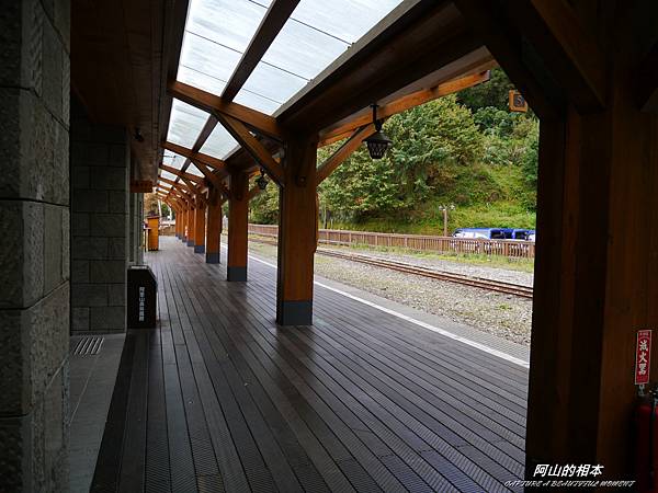 1051024 嘉義阿里山(PIXNET)170.JPG