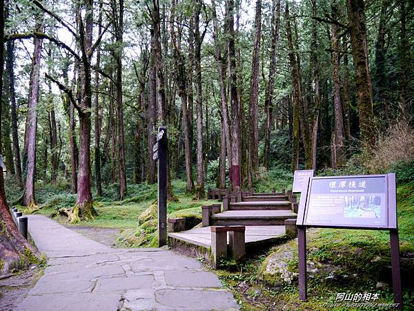 1051024 嘉義阿里山(PIXNET)178.JPG 1051024 嘉義阿里山(PIXNET)178.JPG