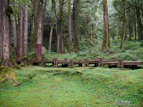 1051024 嘉義阿里山(PIXNET)179.JPG