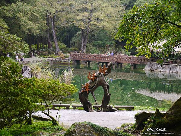 1051024 嘉義阿里山(PIXNET)180.JPG 1051024 嘉義阿里山(PIXNET)180.JPG