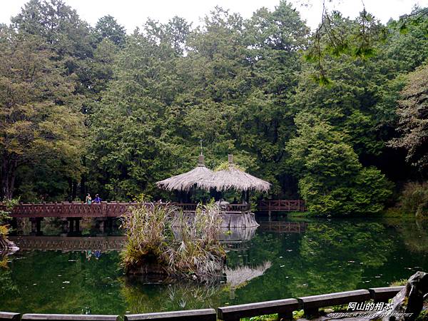 1051024 嘉義阿里山(PIXNET)182.JPG 1051024 嘉義阿里山(PIXNET)182.JPG