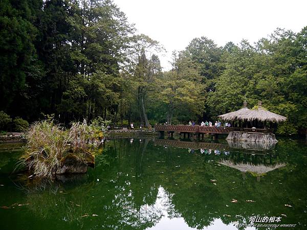 1051024 嘉義阿里山(PIXNET)186.JPG