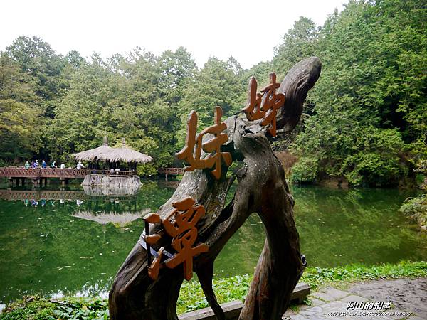 1051024 嘉義阿里山(PIXNET)189.JPG