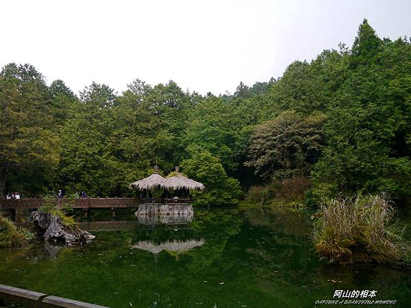 1051024 嘉義阿里山(PIXNET)191.JPG