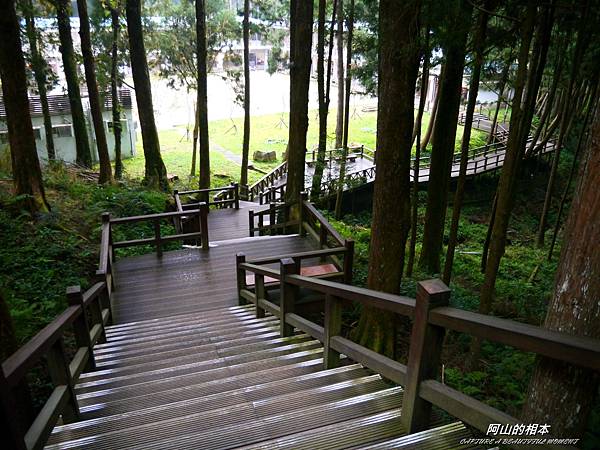 1051024 嘉義阿里山(PIXNET)203.JPG