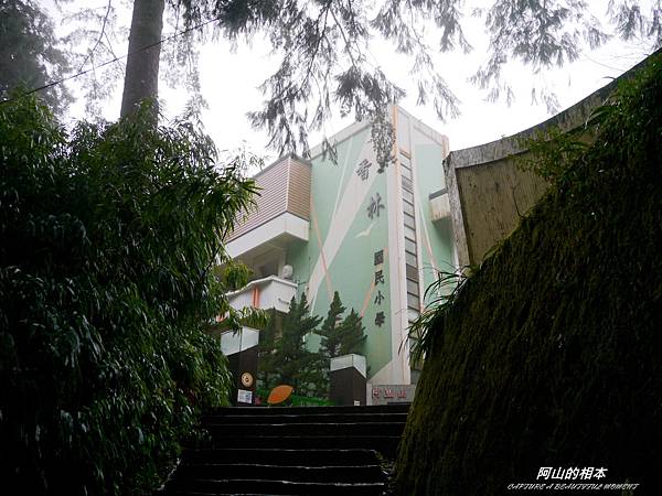 1051024 嘉義阿里山(PIXNET)208.JPG 1051024 嘉義阿里山(PIXNET)208.JPG