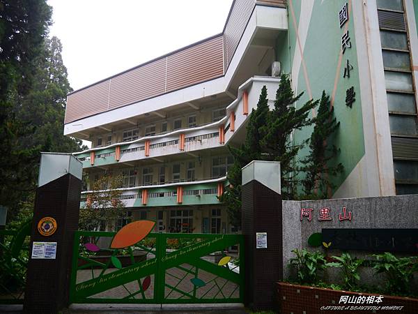 1051024 嘉義阿里山(PIXNET)209.JPG