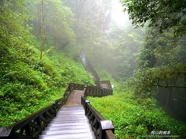1051024 嘉義阿里山(PIXNET)216.JPG