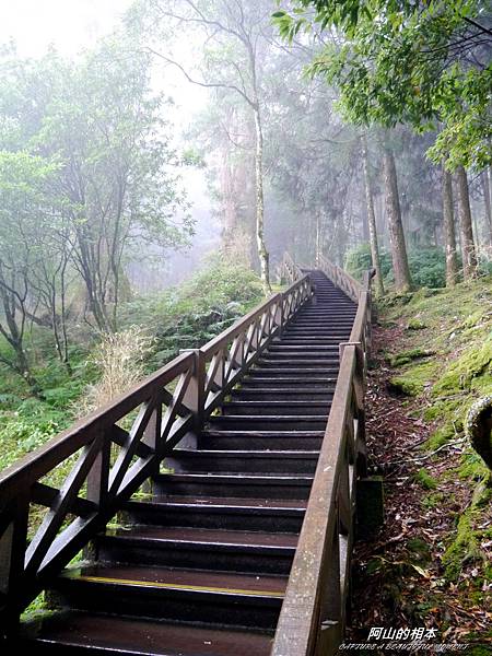 1051024 嘉義阿里山(PIXNET)227.JPG 1051024 嘉義阿里山(PIXNET)227.JPG