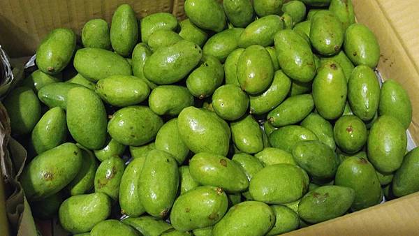 20170503_200759-01 20170503_200759-01