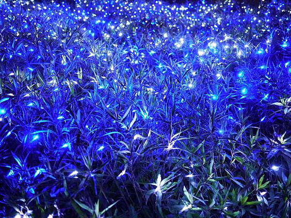 1070208 台南美食4日遊 357.JPG 1070208 台南美食4日遊 357.JPG