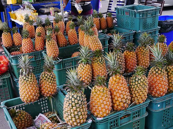 P1110484.JPG P1110484.JPG