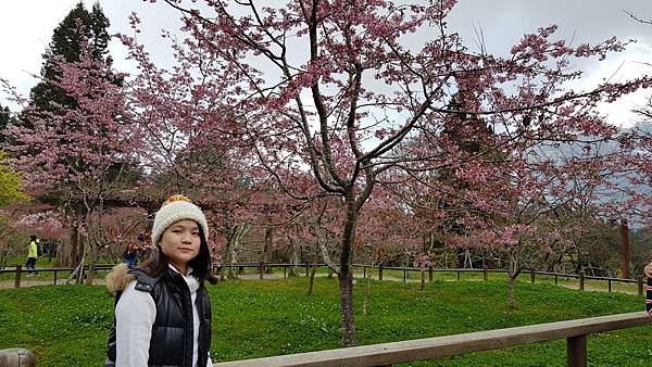 1080214 嘉南4日遊 088.jpg