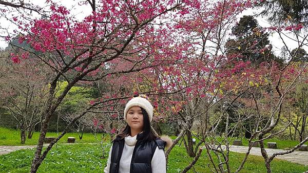 1080214 嘉南4日遊 093.jpg