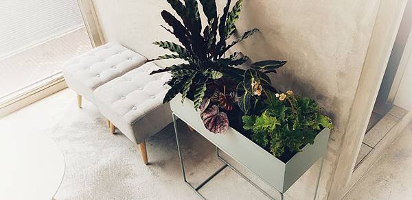 20190317_111552-01.jpeg 20190317_111552-01.jpeg