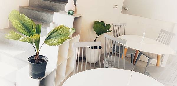 20190317_111557-01.jpeg 20190317_111557-01.jpeg