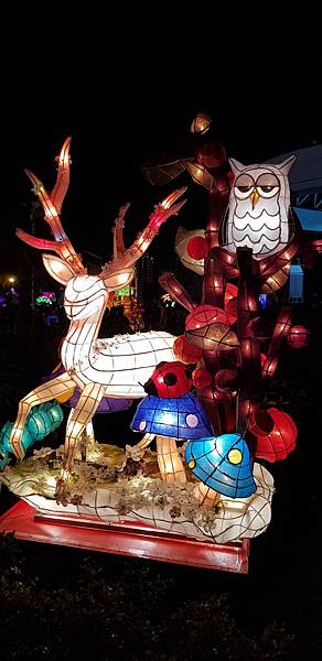 20190316_195924.jpg 20190316_195924.jpg