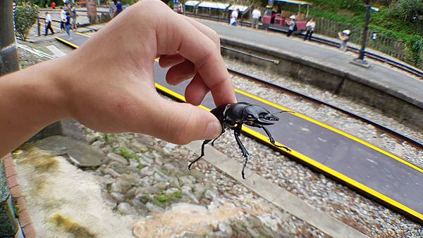 20190824_苗栗台中快樂遊004.jpg 20190824_苗栗台中快樂遊004.jpg