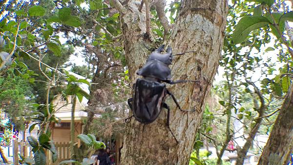 20190824_苗栗台中快樂遊011.jpg 20190824_苗栗台中快樂遊011.jpg