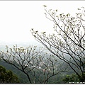 IMG_7114.jpg
