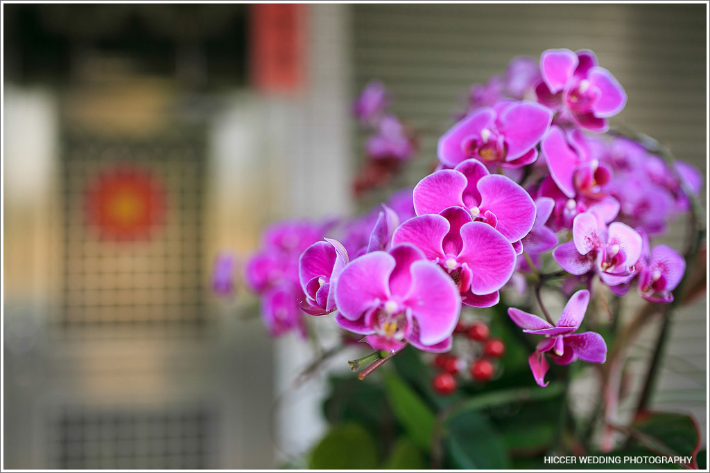 0027-9350.jpg 0027-9350.jpg