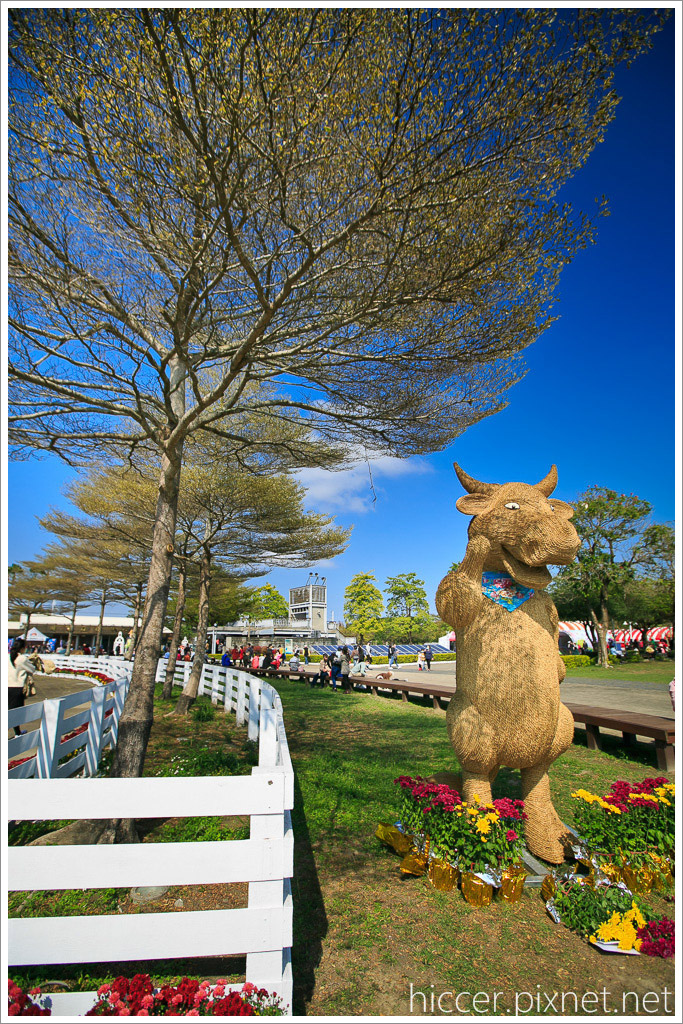 267B9675.jpg 267B9675.jpg