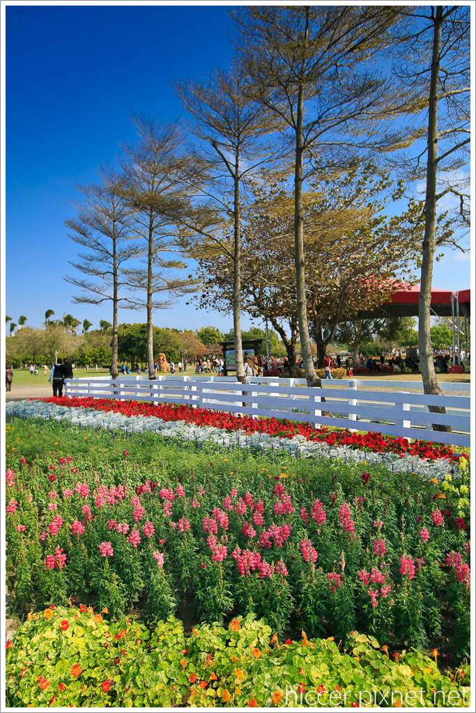 267B9673.jpg 267B9673.jpg