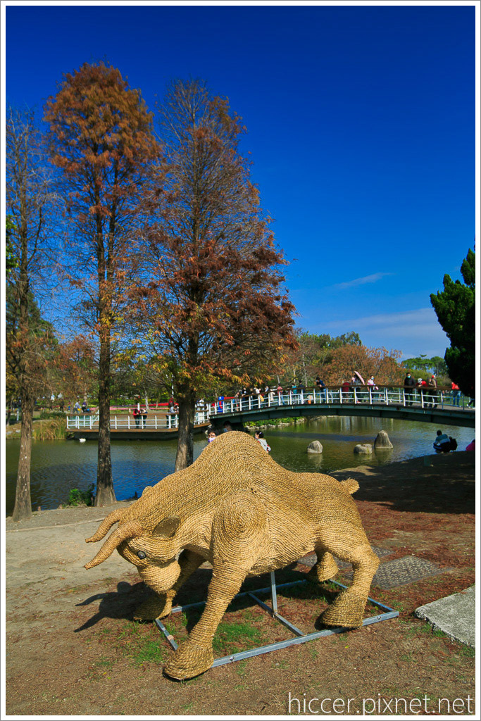 267B9717.jpg 267B9717.jpg