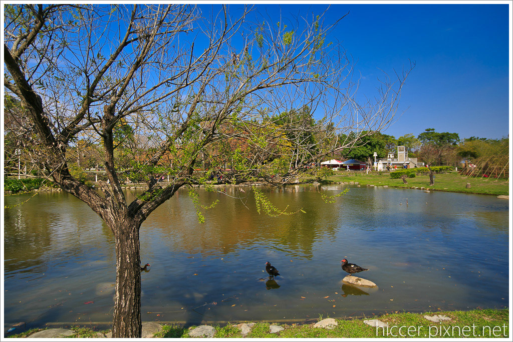 267B9720.jpg 267B9720.jpg