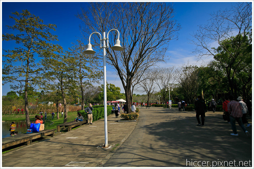 267B9719.jpg 267B9719.jpg