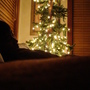 傑元跟聖誕樹
