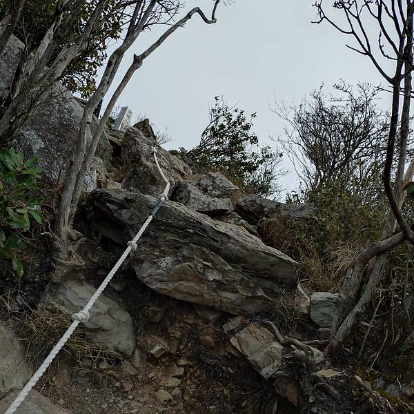 鳶嘴稍來小雪山國家步道