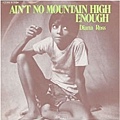 Ain't No Mountain High Enough-Diana Ross.jpg