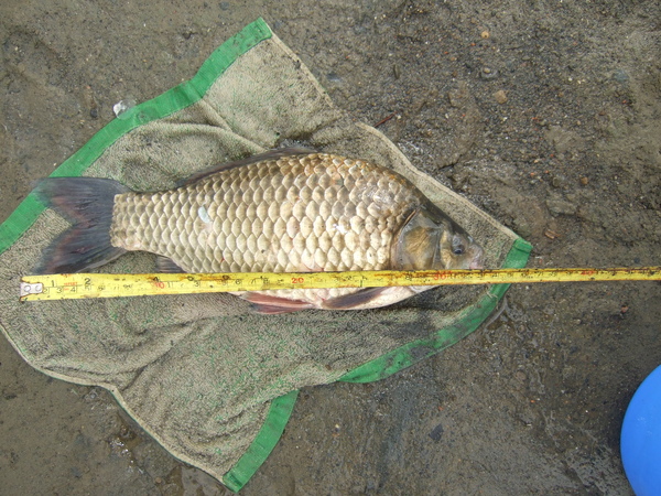 DSCF8940.JPG