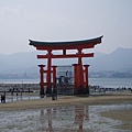 嚴島神社的海中鳥居.JPG