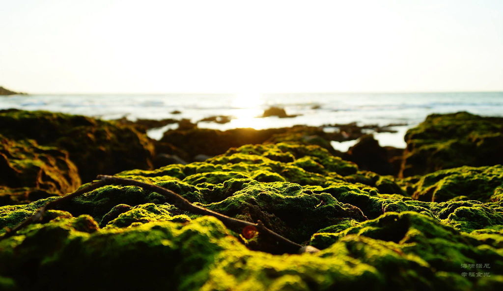 |台北|【淡水區❤黃金海岸。台2乙 自行車道。海尾子海灘】台