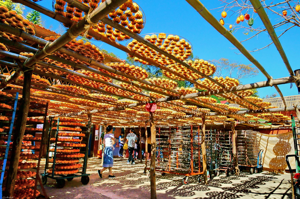 DSC03203.jpg DSC03203.jpg