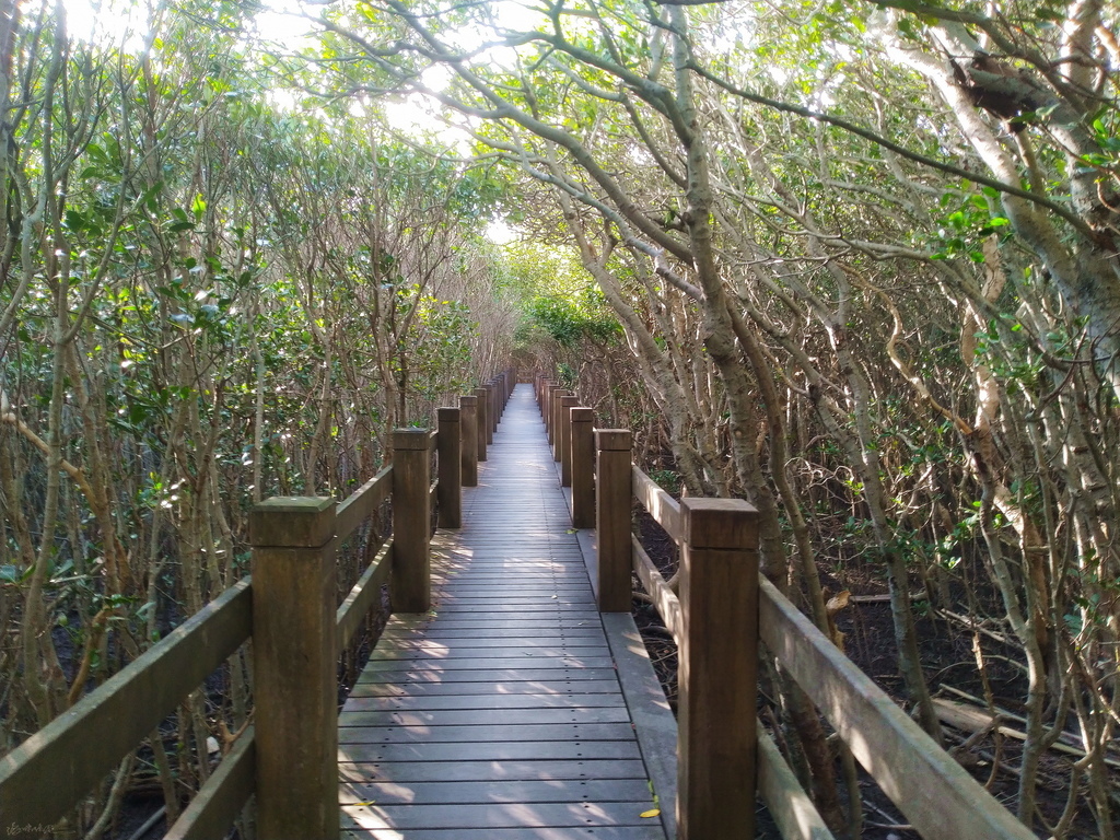 IMG_20201206_151322.jpg IMG_20201206_151322.jpg