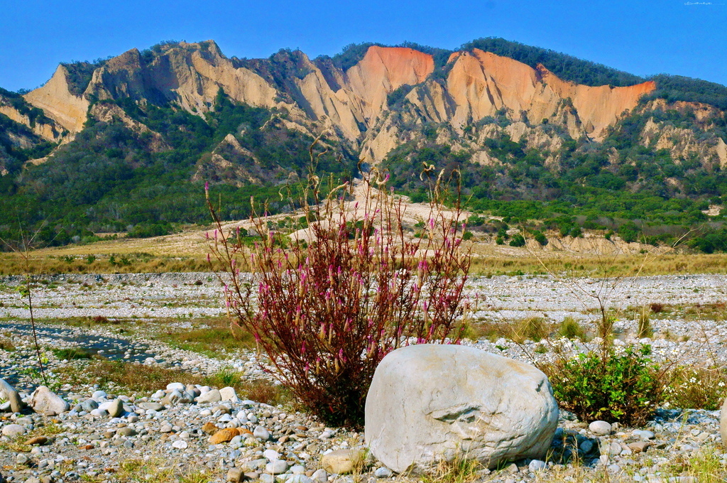 |苗栗|【苑裡鎮❤土城堤防-火炎山景觀點】不用爬山就能安全欣