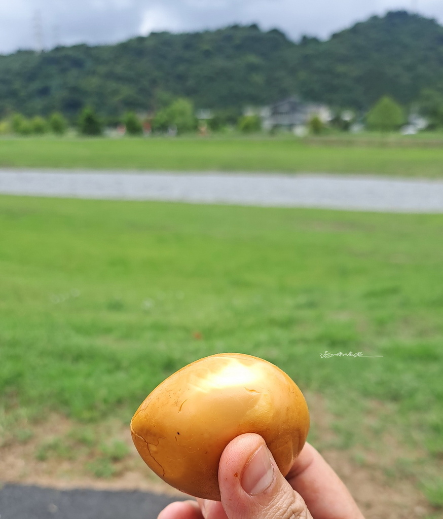 |宜蘭|【大同鄉❤祥發茶香煙燻滷味】祥發茶園 (初嚐) ~~