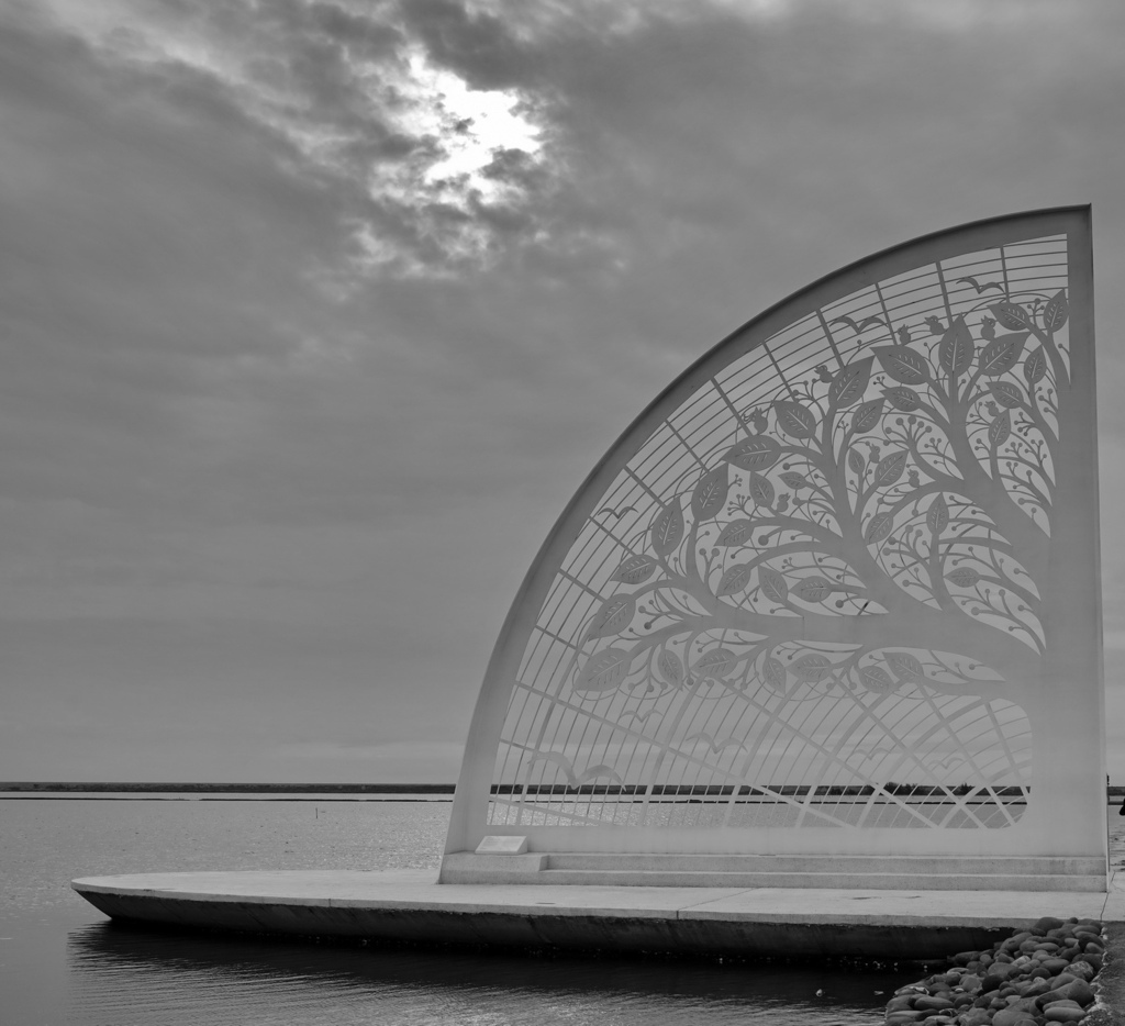 |台南|【將軍區❤生命之樹】青鯤鯓扇形鹽田 扇鹽地景園區 ㊙