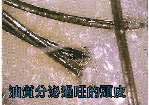 Henry 頭皮護理SPAHif-styling19.jpg