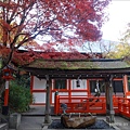 DSC03047.JPG