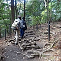DSC03110.JPG