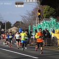 DSC06581.JPG