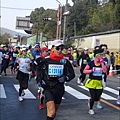 DSC06641.JPG