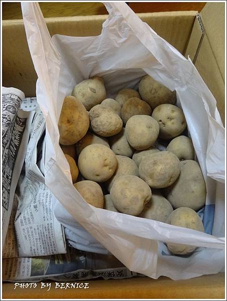 料理 早餐 西班牙馬鈴薯烘蛋 香蕉春捲 暴君ハバネロ きょうとむらのブログ 痞客邦 料理 早餐 西班牙馬鈴薯烘蛋 香蕉春捲 暴君ハバネロ きょうとむらのブログ 痞客邦