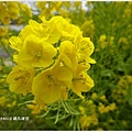 DSC03998_副本.jpg
